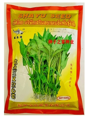 鲨鱼三叉空心菜种子一籽三岔粗梗淡绿杆蕹菜通心竹叶藤菜籽500克