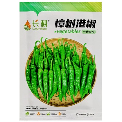 樟树港辣椒种子湖南辣椒
