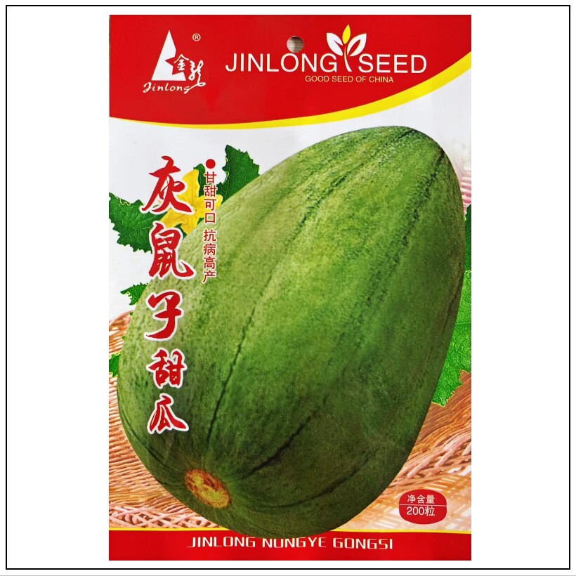 灰鼠子甜瓜种子老品种非转基因甜瓜果皮灰色肉绿色春秋蔬果种子 - 实物图