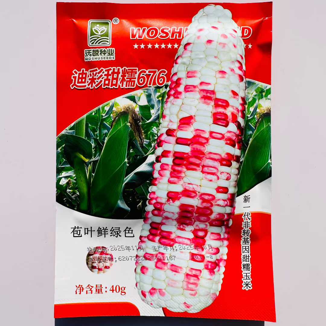 沃蔬迪彩甜糯676玉米种子加甜糯鲜食玉米苞谷籽大田花糯玉米种孑