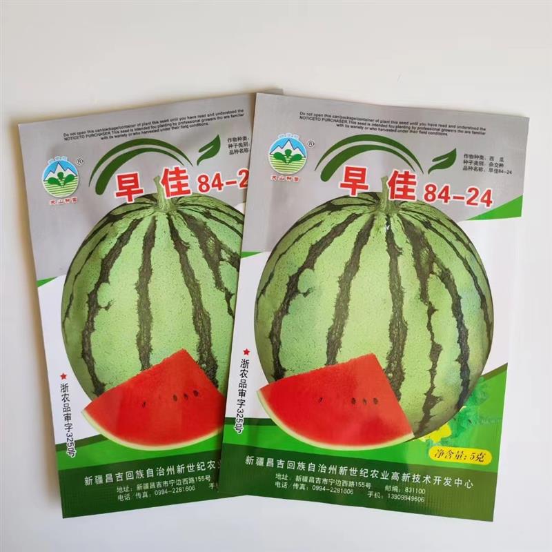 天山种业早佳84-24西瓜种子优选抗裂抗病大果杂交8424西瓜种籽
