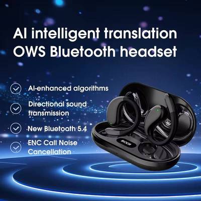 Real-Time Translation Headphones 164 Languages AI Earbuds