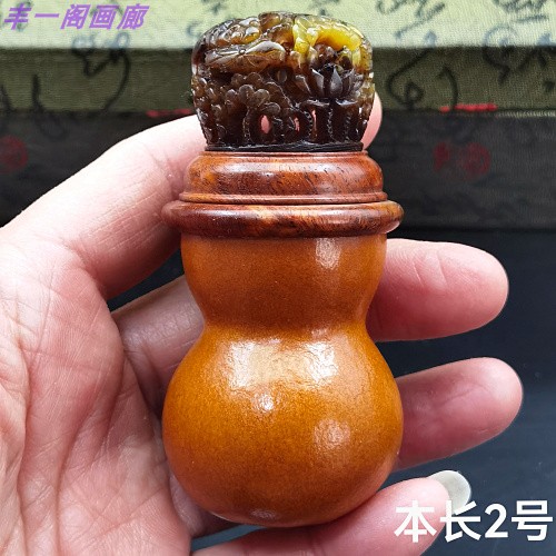 本长葫芦红木口可养扎嘴姐儿蛉虫