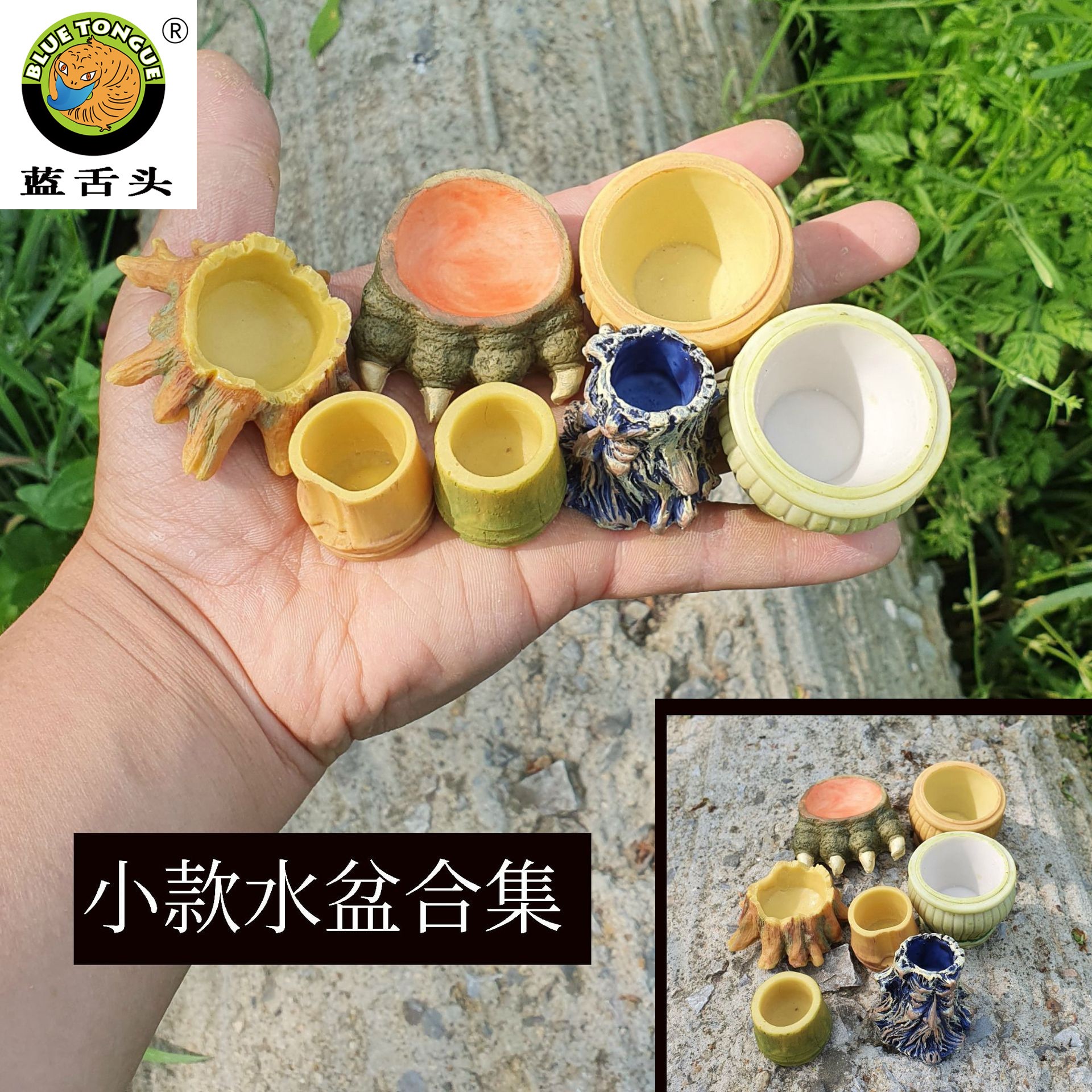 迷你小水盆合集蝎子捕鸟蛛幼体爬宠盒爬虫蝈蝈油葫芦水盂蛐蛐食盘