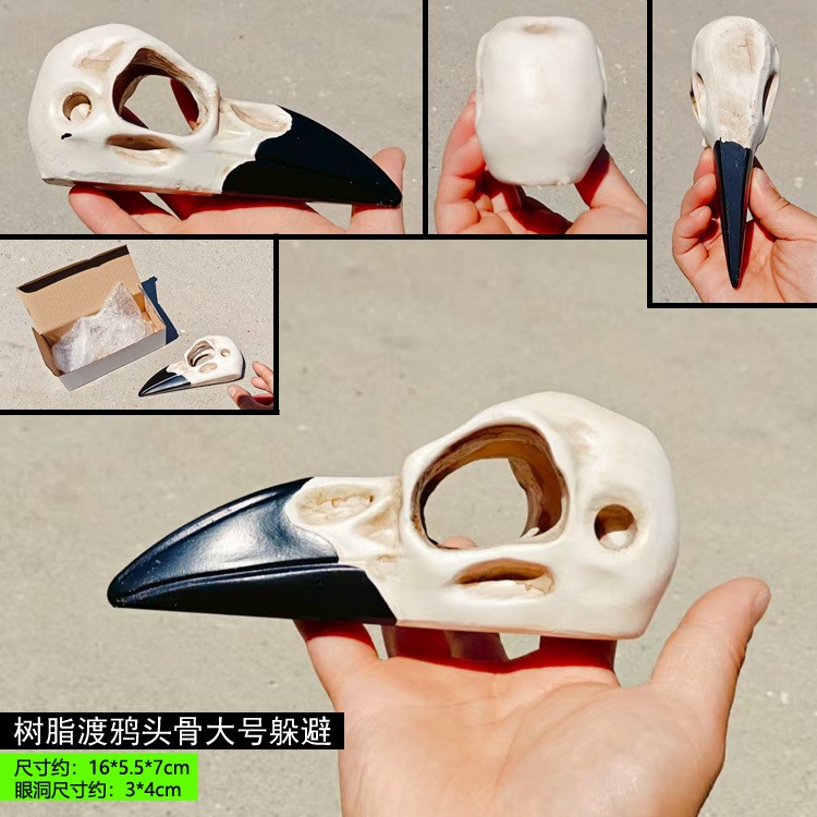 亚克力爬虫饲养箱造景头骨渡鸦乌鸦骷髅头火玫瑰蜘蛛蝎子蜥蜴守宫