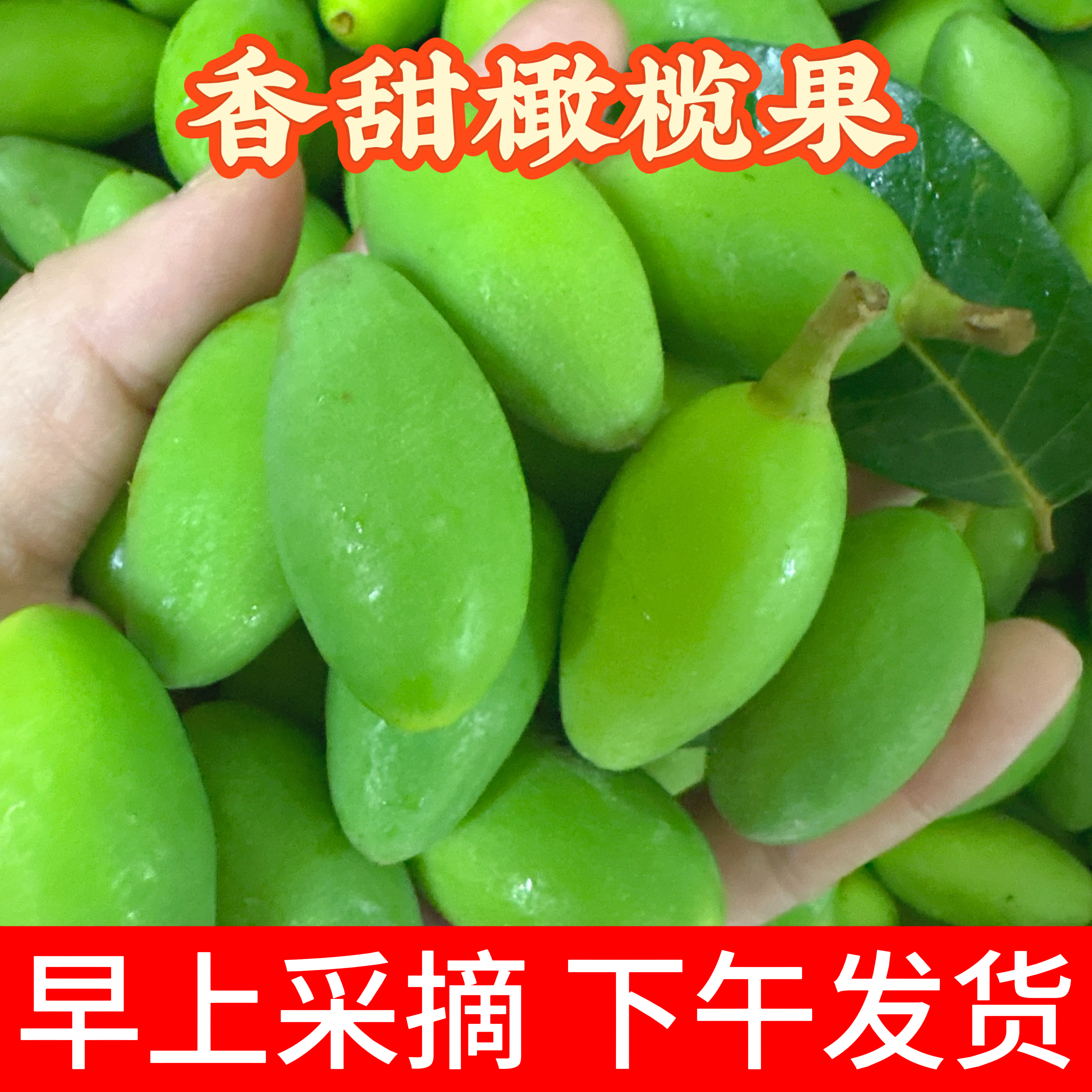 潮汕新鲜青橄榄果特甜鲜橄榄金灶甜种冰糖橄榄水果零食生吃甜橄榄