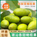 潮汕新鲜青橄榄果特甜鲜橄榄金灶甜种冰糖橄榄水果零食生吃甜橄榄