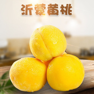 山东蒙阴黄桃一件代发新鲜黄金毛桃当季水果对接电商直播产地直发