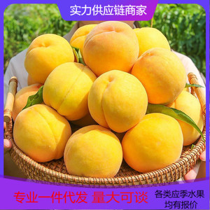 正宗山东蒙阴黄桃水果新鲜毛桃新鲜当季水果对接电商直播产地直发