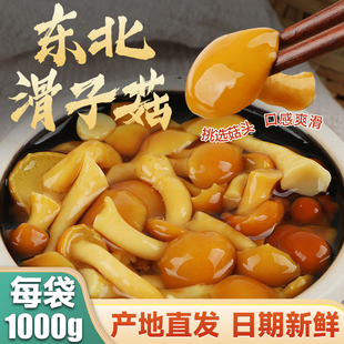 宋氏森源滑子菇东北特产滑子蘑袋装珍珠菇挑选菌类蘑菇煲汤1000g