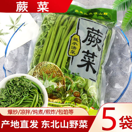 东北特产蕨菜小兴安岭伊春山野菜绿蕨菜山蕨菜袋装森源450g*5袋
