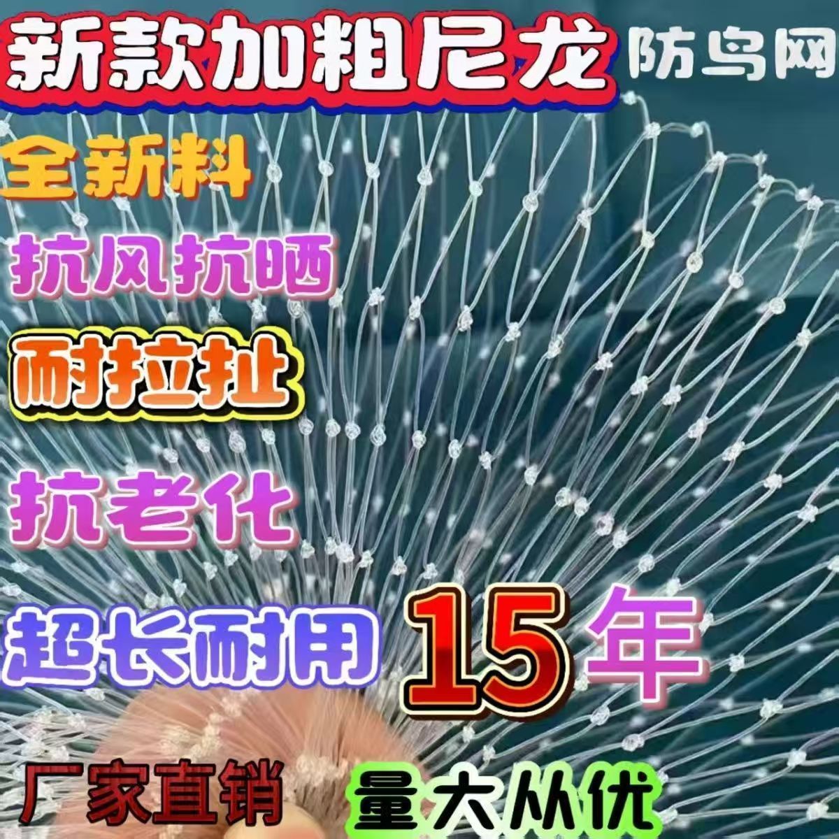 果园大棚加粗耐用尼龙网稻谷樱桃葡萄梨树草莓防鸟网鱼塘泥鳅天网