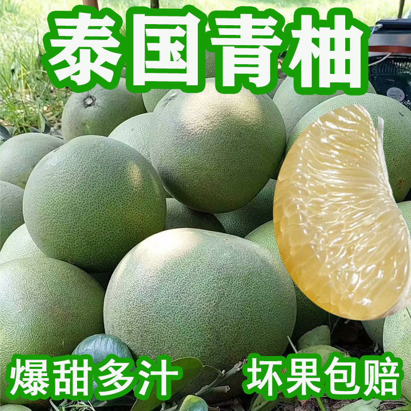 正宗进口泰国青柚孕妇新鲜水果白糖柚子蜜柚当季时令云南发整箱