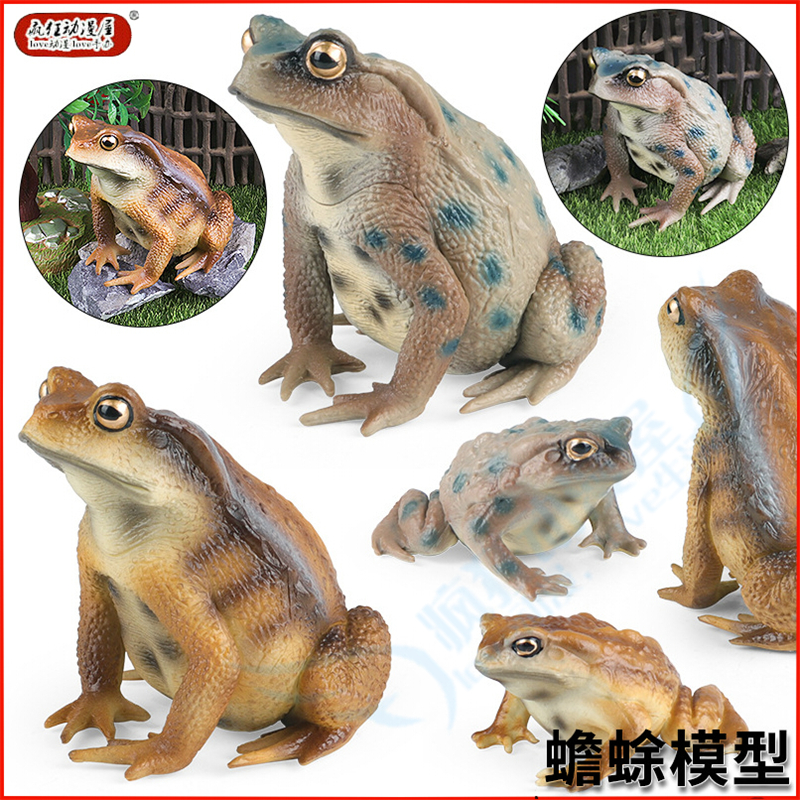 仿真模型爬行动物癞蛤蟆青蛙玩具