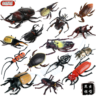 仿真动物独角仙楸型虫兜虫天牛田鳖龙虱金龟昆虫模型整蛊玩具摆件