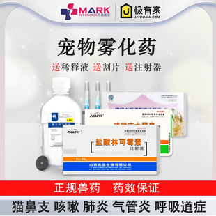 猫鼻支雾化药杯状猫咪狗感冒宠物肺炎喷嚏涕咳嗽猫咪雾化治疗套餐