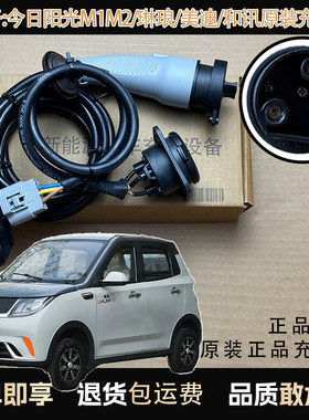琳琅/今日阳光M1/M2/美迪和讯四轮电车原厂充电枪充电底座充电器