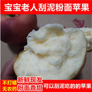 现摘新鲜粉面沙甜苹果红星苹果宝宝刮泥婴儿老人吃 绵水果5斤