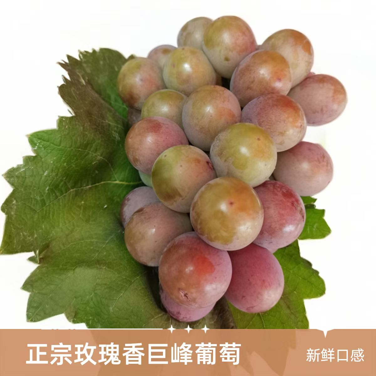 酸甜玫瑰香巨峰葡萄多汁剥皮产地自产不催熟不泡保鲜剂当季限定