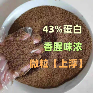 上浮小型观赏金幼鱼锦鲤饲料微粒