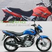 包邮 适用铃木超级骊爽HJ125 20摩托车防晒坐垫套网状防晒透气座套