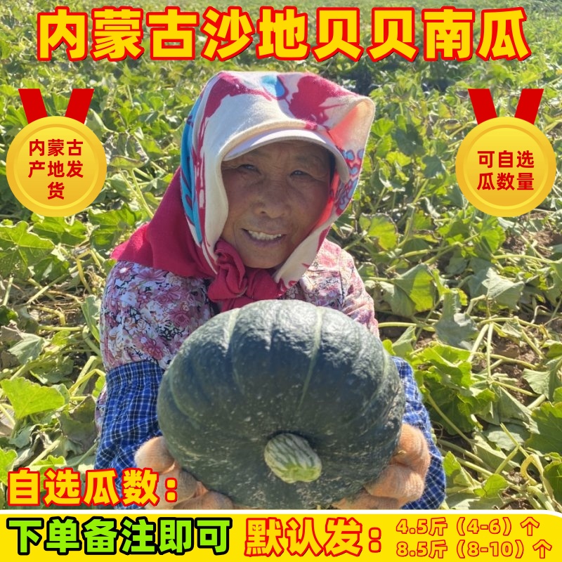 2025新鲜现摘内蒙古沙地爆粉真贝贝正宗板栗味老南瓜婴儿宝宝辅食