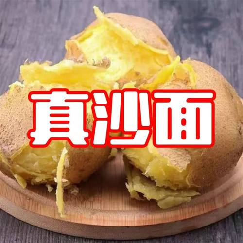 辅食2024年新鲜马铃薯黄皮洋芋