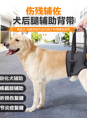 狗狗康复辅助背带护具宠物用品