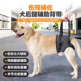 新款宠物狗狗残疾狗后腿辅助老年犬大龄狗后肢辅助受伤康复背带