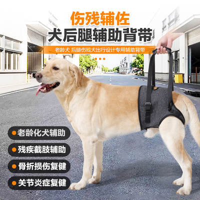狗狗康复辅助背带护具宠物用品