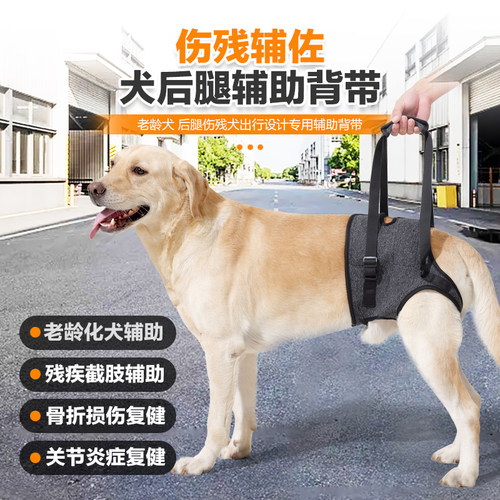 狗狗康复辅助背带护具宠物用品
