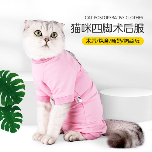 猫咪术后服四脚款轻薄透气防掉毛