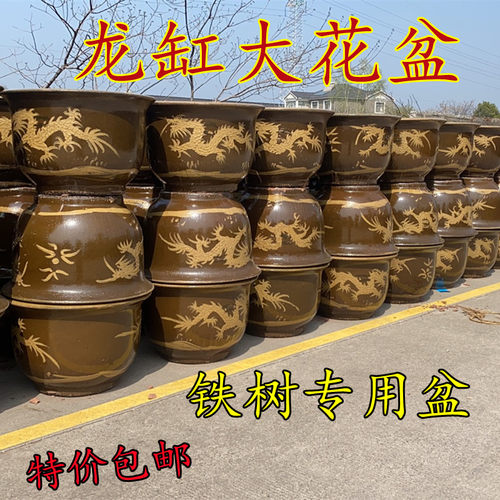 龙缸花盆陶瓷铁树圆形田园