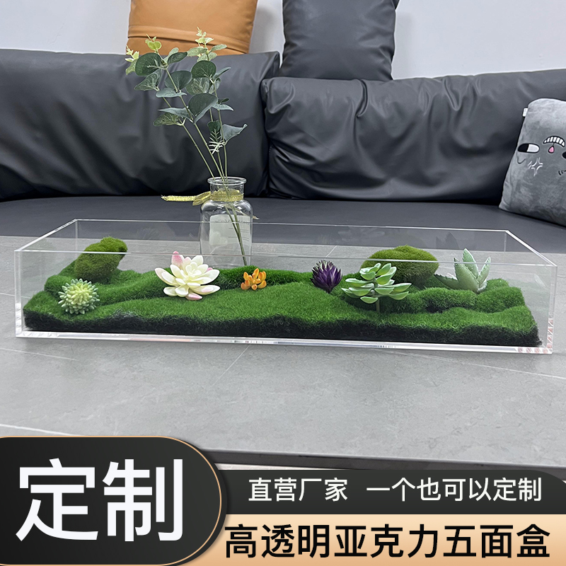 亚克力五面盒苔藓绿植透明盒定制