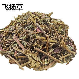 飞扬草中药材 大飞杨草 飞扬草天然纯正品乳籽草飞相草节节花500g