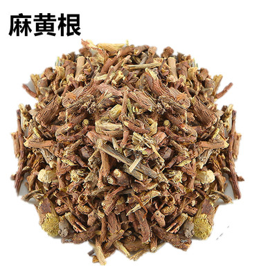 野生麻黄根中草药