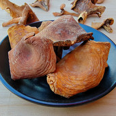 野生红奶浆菌干货 多汁松乳菇 云南楚雄土特产蘑菇菌味浓适合煲汤