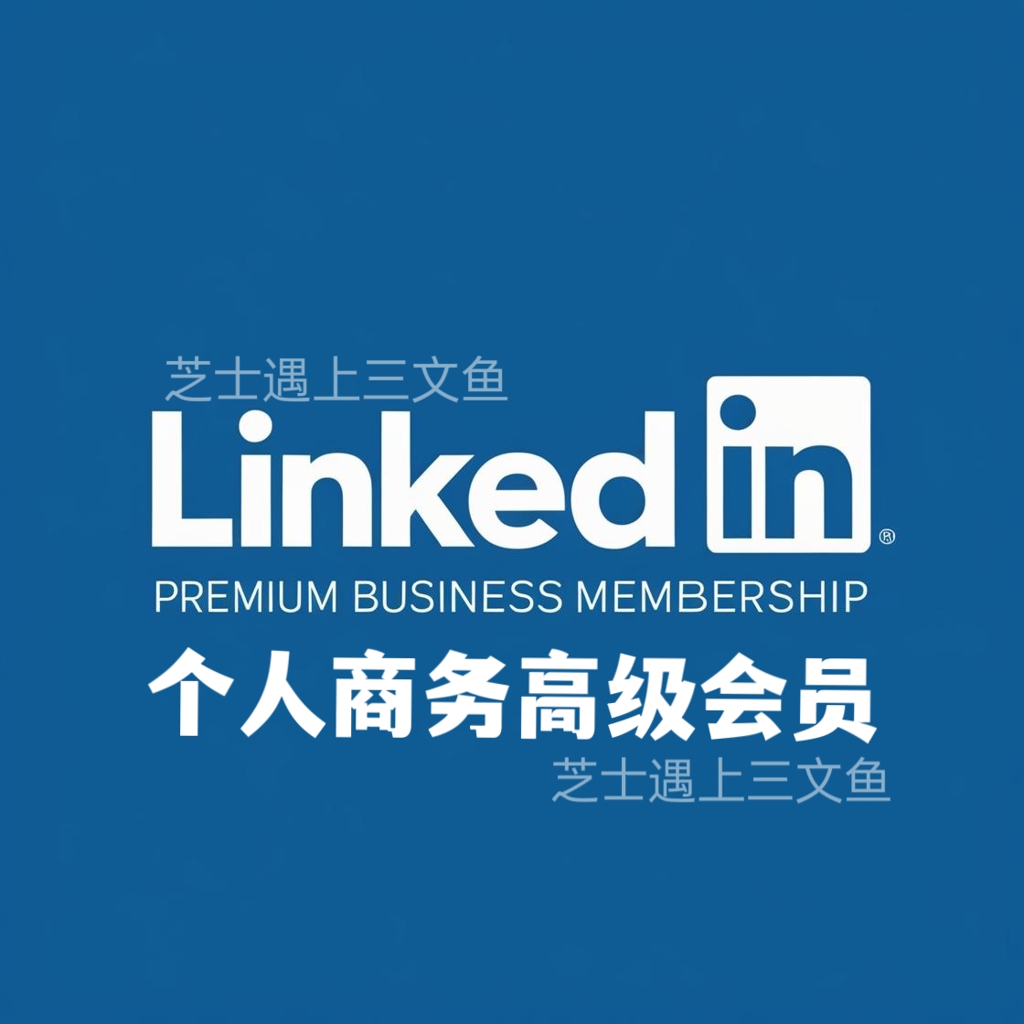 领英高级会员 个人商务 LinkedIn Business
