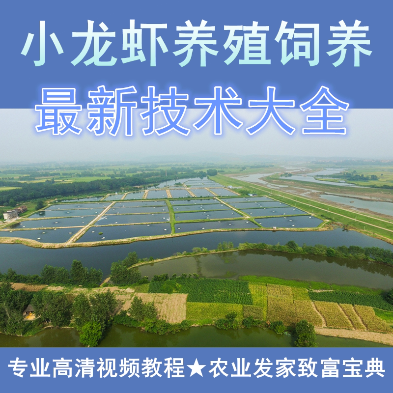 小龙虾养殖饲养新技术大全宝典教程高清视频全套大全合集农业高级