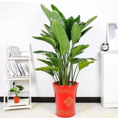 网友分享在meiguo.com的图片