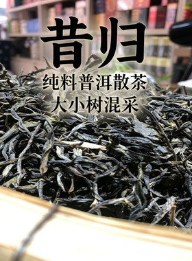 2025年昔归普洱茶生茶散茶云南春茶散装茶叶纯料大小树混采口粮茶