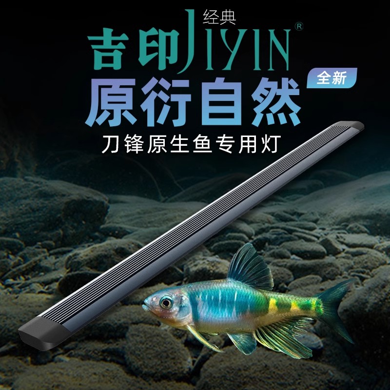 吉印刀锋原生专业灯暴藻鱼缸