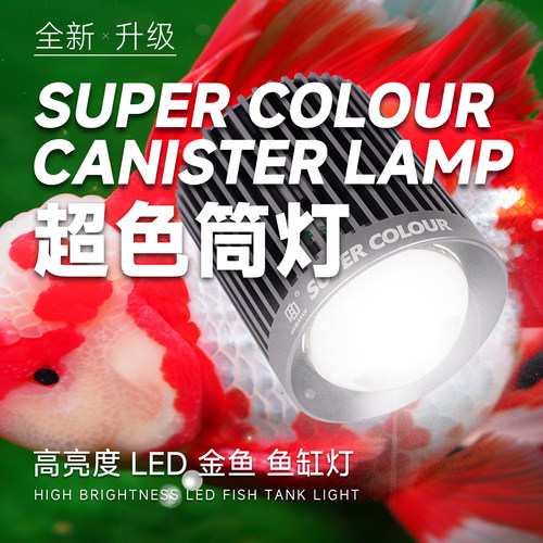 马印专用增艳爆藻灯筒灯正品保障