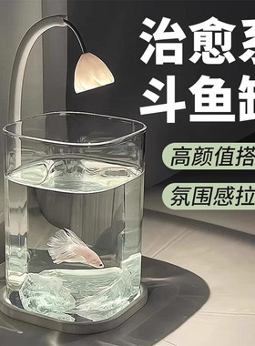 2025新款斗鱼缸小型网红玻璃缸