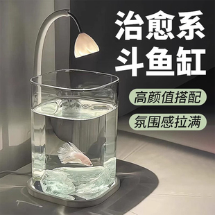 斗鱼缸桌面缸2025新款网红迷你玻璃鱼缸小鱼缸自循环过滤造景套装