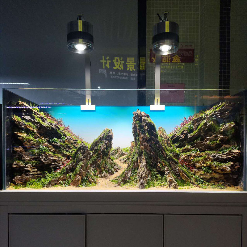 造景水草缸沉木上门杜鹃根
