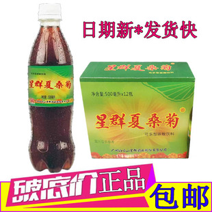 星群夏桑菊可乐型碳酸饮料500ml/12瓶箱内含菊花甘草桑叶夏季清爽