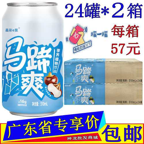 隐雪马蹄爽荸荠果粒果味植物饮料