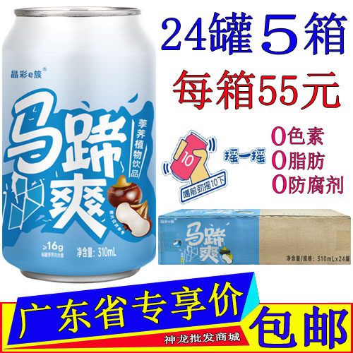 隐雪马蹄爽荸荠果粒原汁原味果味植物饮料310ML*72罐整箱广东包邮