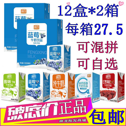 风行牛奶蓝莓味200ml/12盒*2箱整箱装原味酸奶高钙红枣枸杞纯牛奶